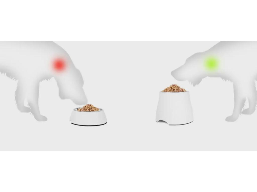 Миска для собак Hupu Anti-Tip: Защищает шейные позвонки у крупных собак