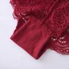 Sexy Underwear Elastic Waistband Protective Skin-touching Crochet Embroidery Floral Lace Underwear Inside Wear