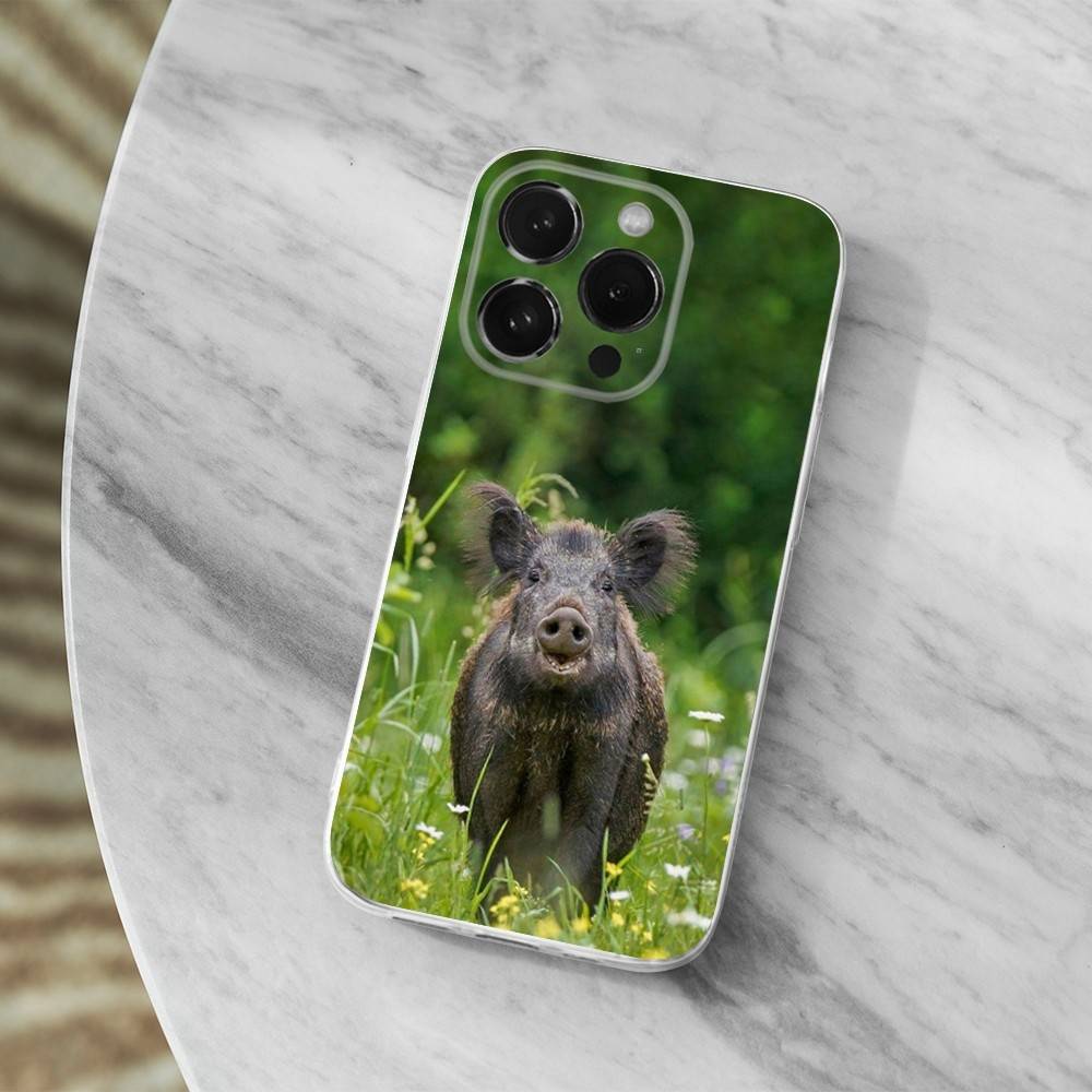 Cute Wild Boar Animal Phone Case For iPhone,14,13,12,15,Pro,Max,Plus,11,17,16,X,XS,XR,SE,Mini Transparent Soft Cover
