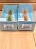 HIDEUP COIKE BUG BOMBER 2pc Set Watermelon Cinnamon Elastomer Fs Jp
