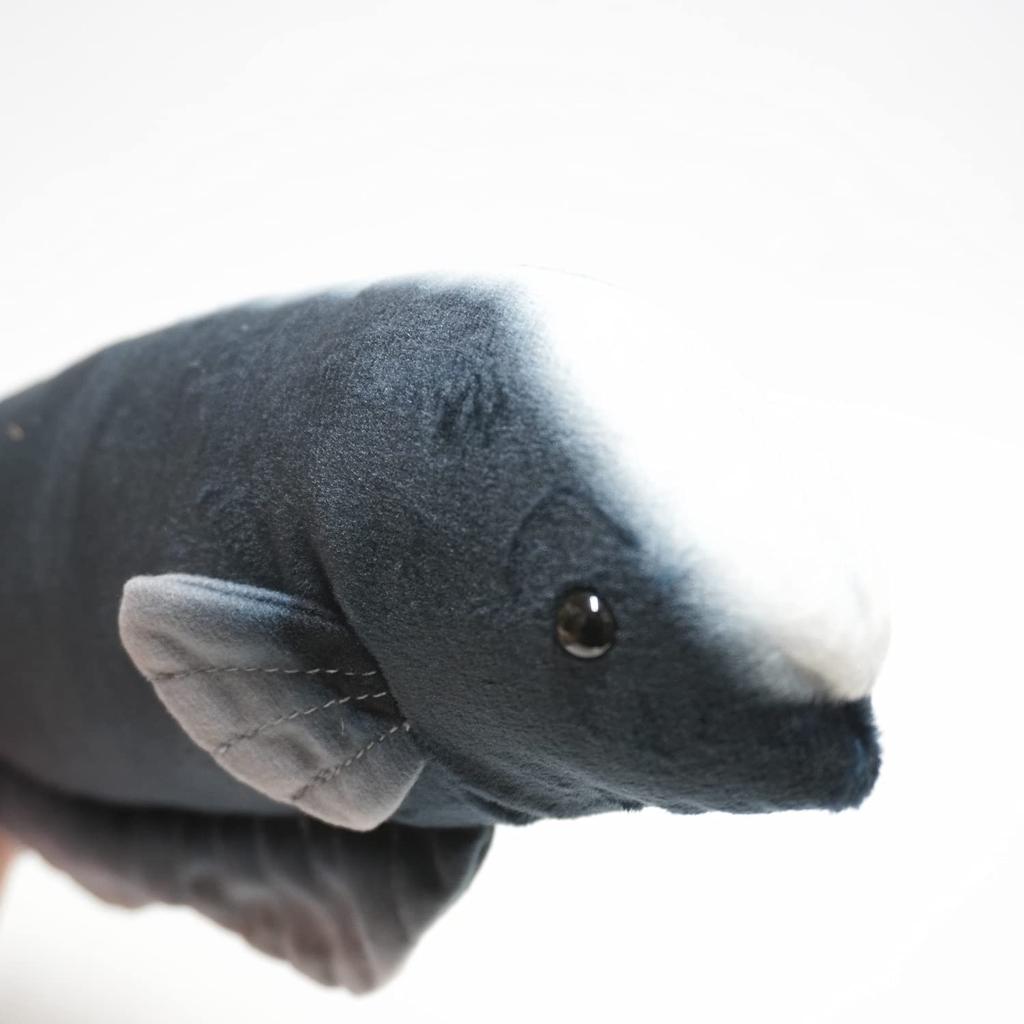 Exciting Illustrated Guide Freshwater Creatures Edition Animal Plush Toy - (Black Ghost)