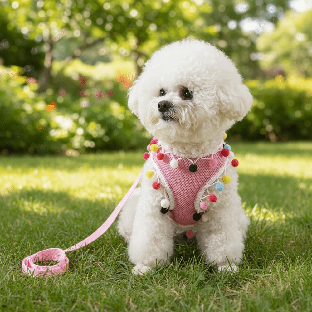 Colorful Ball Dog Harness Vest Breathable Mesh Pet Walking Rope Dog Chest Strap  Training