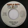 7inch Record INIBAL / BASCOM X - Never Give Up / Beautiful World NONE Nuff-A-Dat Reco 2005 Jamaica Reggae, Ska & Dub Used