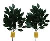 Never-withering Sakaki Artificial Flowers for Shinto Altar, 1 Pair (2 Bunches)