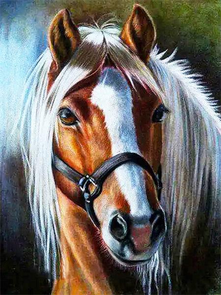 Алмазная живопись животные 5D Diy вышивка мозаика кошка бабочка полный квадрат круглый подарок ручной работы домашний декор