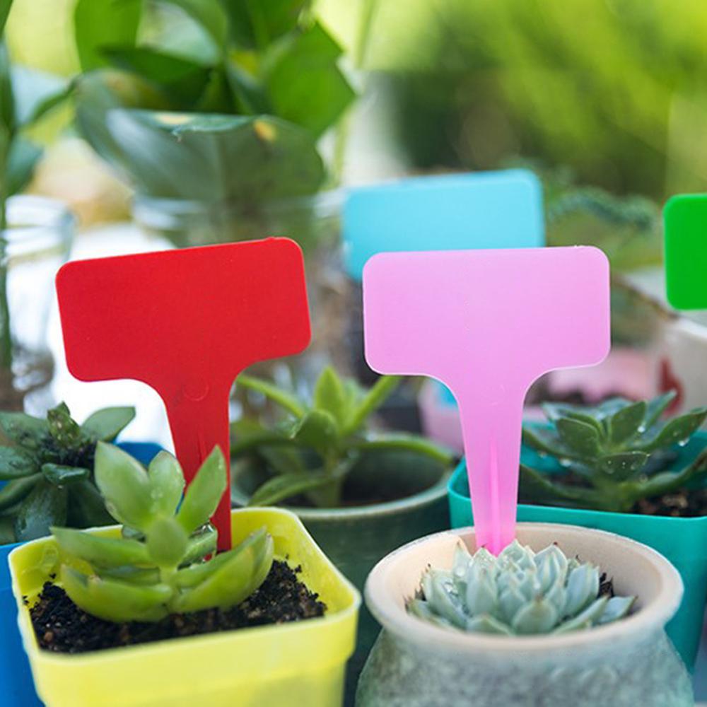 100 шт. Белые садовые этикетки Растения Водонепроницаемые Классификация Сортировка Значок Бирка Билет Пластиковая Доска для письма Вставляемая Карта