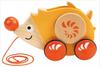 Hape Walk a Long Hedgehog E0350