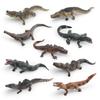 Mini Crocodile Wild Boar Caiman Nile Crocodile Alligator Wildlife Animal Model Scale Miniatures Decorations Simulated Home Decor
