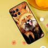 Милый Лис Осенью Чехол Для Samsung Galaxy M31 M32 M12 M52 M21 M15 M55 M56 M36 M16 M06 M13 M33 M53 M14 M34 M54
