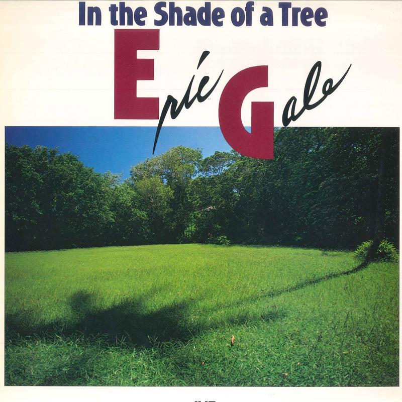 Виниловая пластинка ERIC GALE - In The Shade Of A Tree VIJ28018 JVC 1982 Япония Obi Джаз Б/у