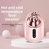 Горячий и Холодный Двойной Распылитель для Лица, Специальный для Салонов Красоты, Бытовая Увлажняющая Распылительная Машина, Увлажнение Пор Лица, Горячий Распылитель для Лица