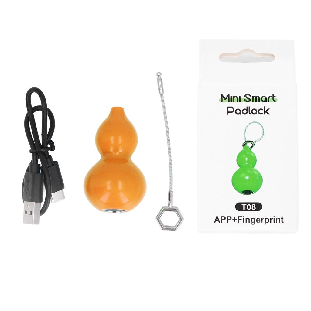 Водонепроницаемый навесной замок с отпечатком пальца, перезаряжаемый через USB, замок с отпечатком пальца для шкафчика для приложения Tuya для двери