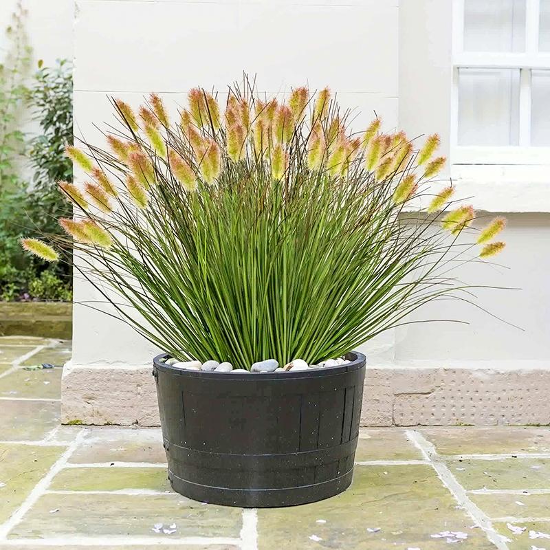 1/6 Bundles Simulation Ground Plants Outdoor Plastic Wedding Fake Dog Tail Flower Window Frame Decor 2 Sizes