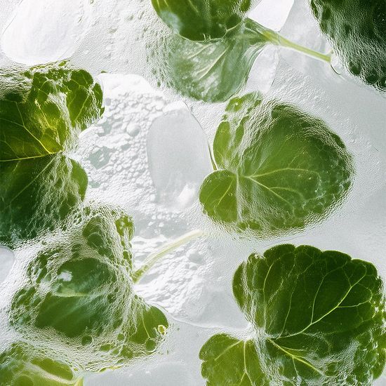 HAPPY BATH Шампунь для устранения запаха ног 500 мл (Основной продукт/Заправка)