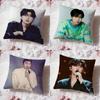 Lim Young W-Woong Чехол для подушки Premium Comfort Двусторонний чехол для подушки - Дизайн «Два в одном» для любой комнаты и салона автомобиля