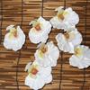 6pcs 9cm Butterfly Orchid Flower Head Fake Flower Head  Hair Clips/Boutonniere/Cake Decoration