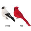 Vivid Garden Ornament Home Decor Real Feathers Bird Model Artificial Animal  Simulation Parrot
