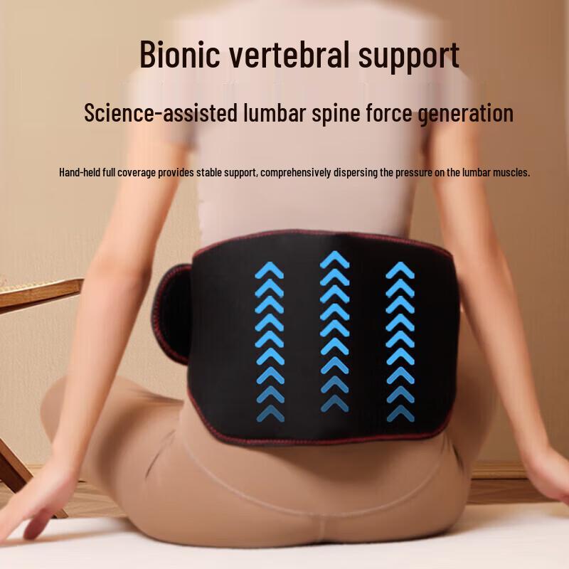 AUX Heated Lumbar Massager Waist Belt CN plug (adapter included)
