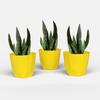 Шестигранный 8-дюймовый набор из 3 штук пластиковых цветочных горшков для домашнего декора, горшки для комнатных растений для гостиной, пластиковый цветочный горшок для сада (желтый)