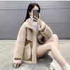 Fur On Both Sides, Sheep Shearing, Lamb Fur, Fur Integration, Autumn and Winter New Versatile and Thin Coat Women