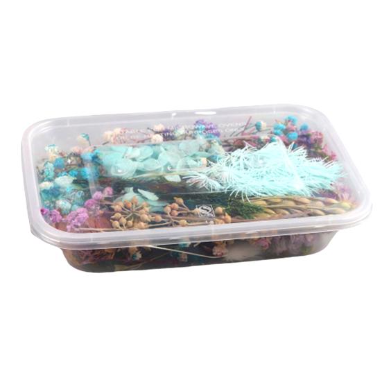 Real Dried Flower Material Plant Specimen Making Scrapbook Crafts Accessories