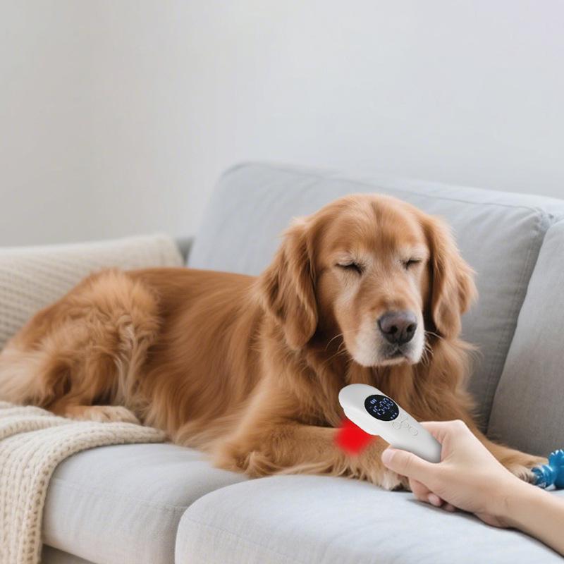 Portable Handheld Infrared Laser Therapy Device - 650nm & 808nm Red Light Therapy