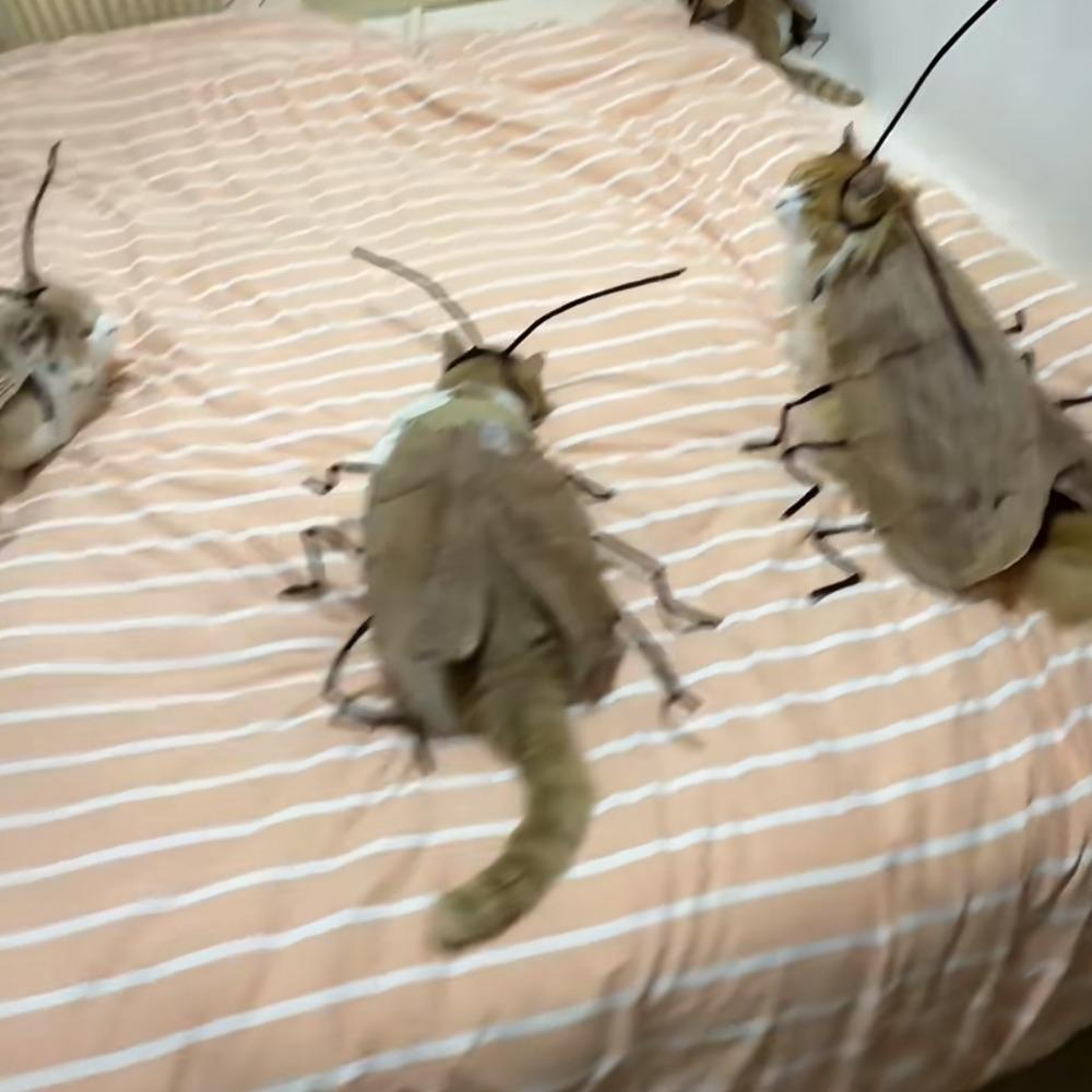 Игрушки для кошек своими руками для игр в помещении, аксессуар для косплея, креативная одежда для кошек-тараканов