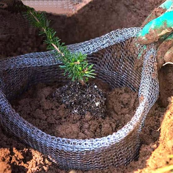 Practical Large Capacity Planter Mesh Bag Reliable Dense Holes Stainless Steel Root Protector for Garden