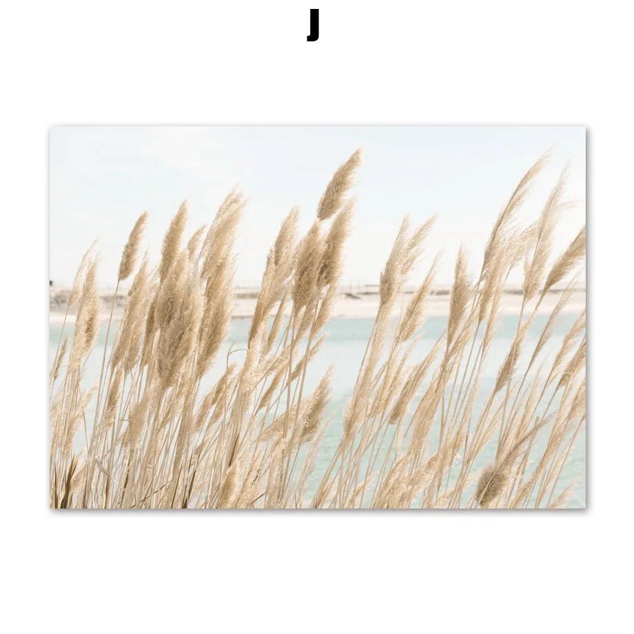 Beach Shell Starfish Bridge And Prints Wall Art Nordic Posters Canvas Painting Wall Pictures For Living Room Marine Style Decor