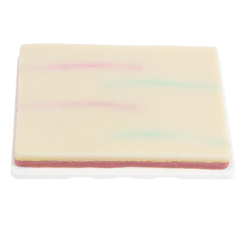 Модель для отработки навыков венепункции. Силиконовая учебная модель для наложения швов на кожу человека.