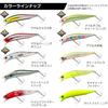 Daiwa Morethan Crosswake R A Grikin 111F-SSR