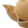 Outdoor Hat with Plastic Large Brim Sun Hat, Western Cowboy Style Straw Hat, Light and Easy To Carry, Suitable for Giving To Friends and Family