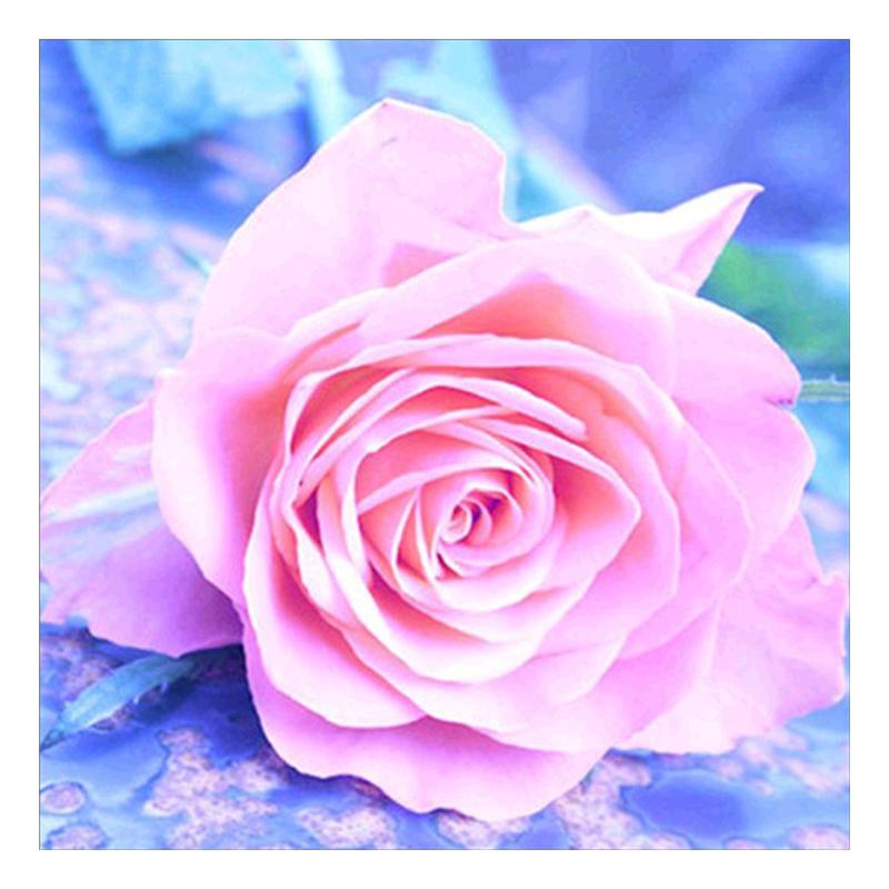 5D Diy алмазная живопись цветок роза вышивка крестиком полная круглая дрель вышивка Алмазная мозаика картина из страз Декор подарок