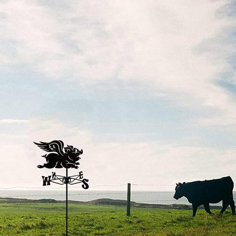 Металлический Петух Флюгер Семейное Имя Направление Ветра Легкий Погодный Кровельное Крепление Флюгер Уличные Аксессуары