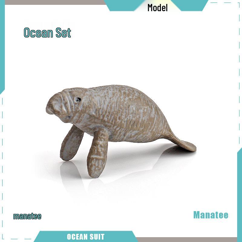 Children's Marine Animal Model Set: Mini Whale, Shark, Dolphin, Turtle, Sea Lion