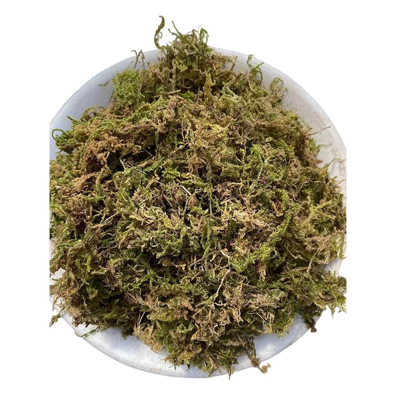 Original Dry Moss for Phalaenopsis Moisture Retention, Landscaping, and Terrariums - Custom Packaging