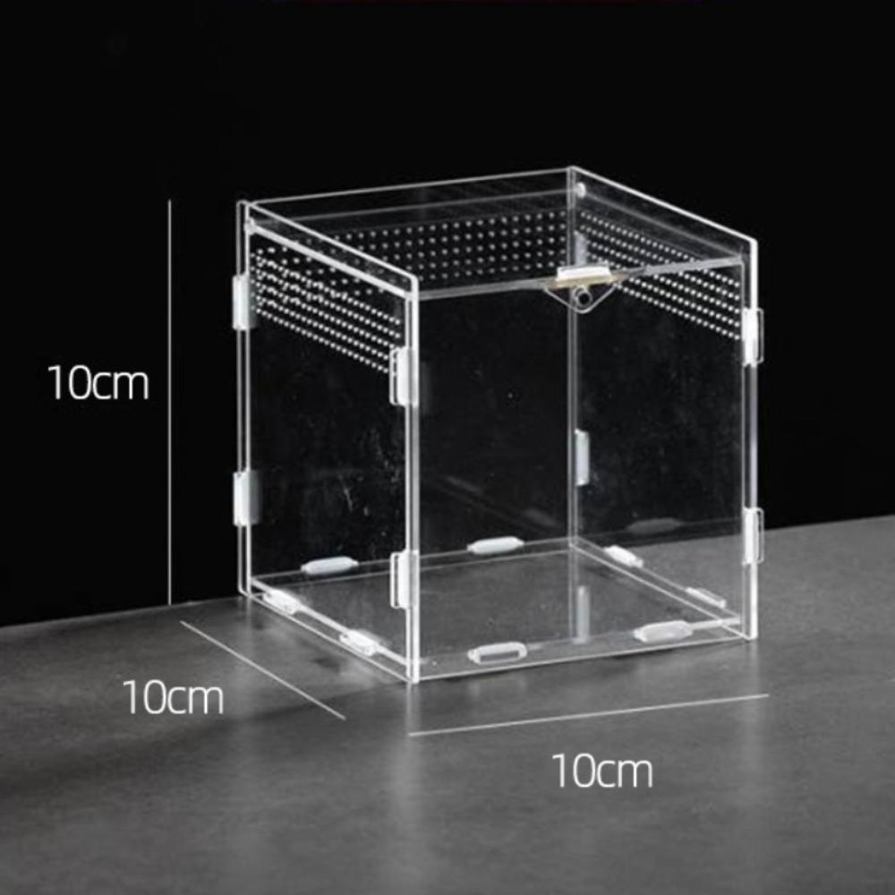 Anti-Escape Reptile Habitat Clear Spider Feeding Case Durable Lizard Breeding Box for Chameleon