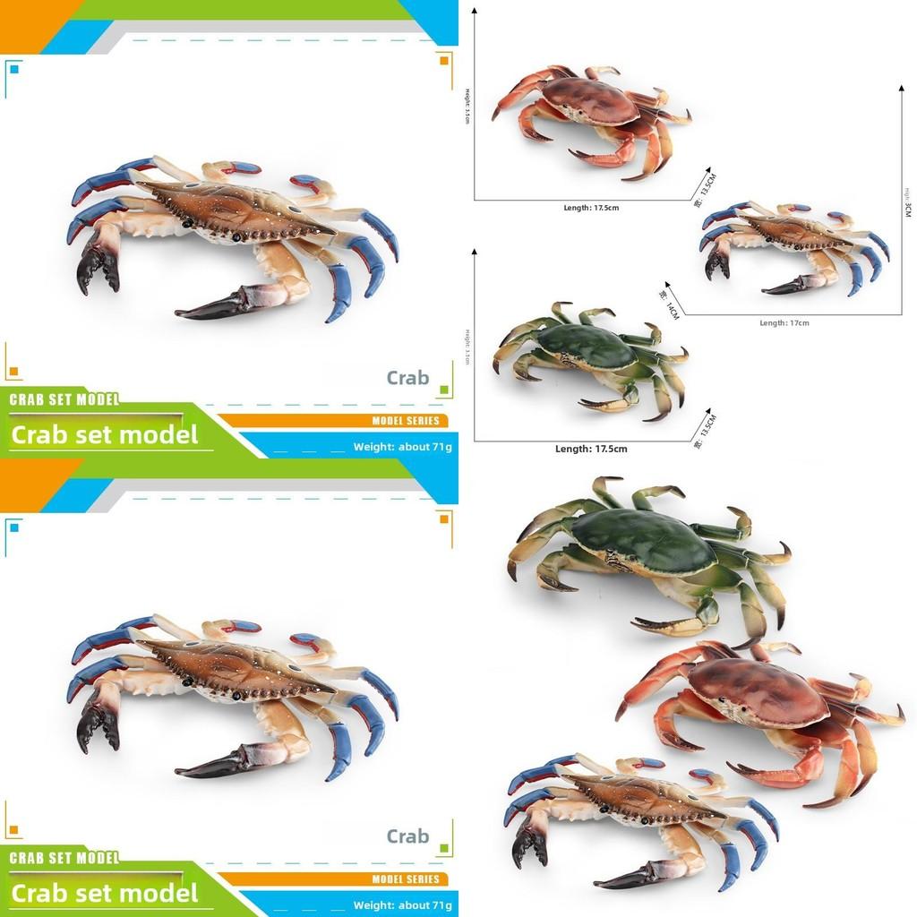 Модель морского животного краба с реалистичным дизайном для украшения рабочего стола