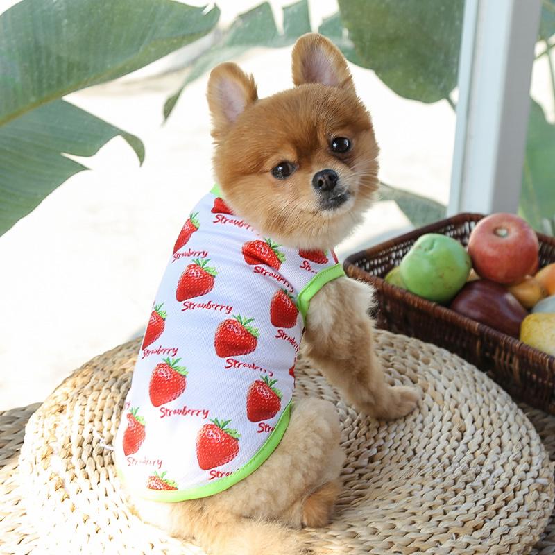 Dog Cat Puppy Kitten Pet Cartoon Spring Summer Autumn Cotton Clothes Clothing Vests Coats Jackets Shirt Dresses Costume