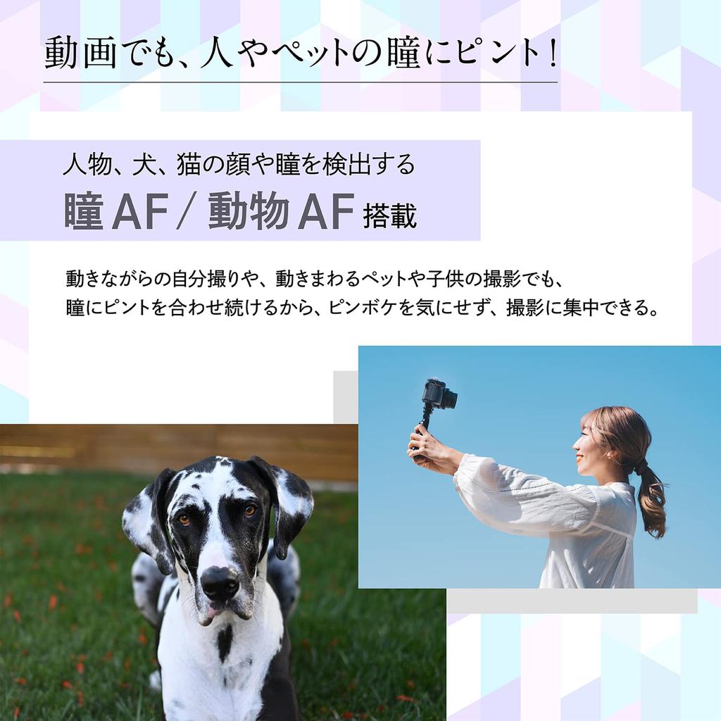 Nikon Mirrorless Single Lens Z30 Body Z Mount Video Vlog Black APS-C