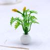 Мини-симуляция суккулентного растения в горшке, эльфийский сад, садоводство, микроландшафт, цветочные украшения, миниатюрная зеленая модель растения