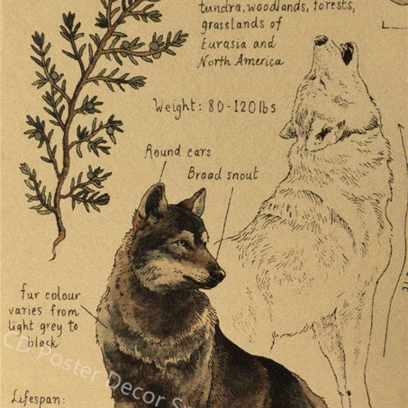 Плакат с принтом кита, винтажный домашний декор для спальни, фреска