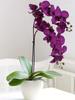 6 PCS Real Look Long Stem Artificial Flowers Faux Orchid Velvet Orchids 97cm Orchids Artificial Flowers for Tall Vase for Home Wedding Decoration