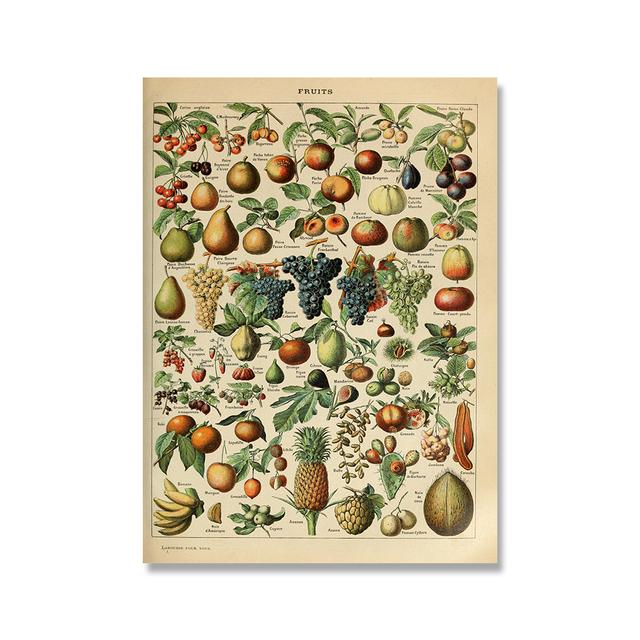 Винтажные фрукты, овощи, бобовые диаграммы, настенный художественный постер для кухни