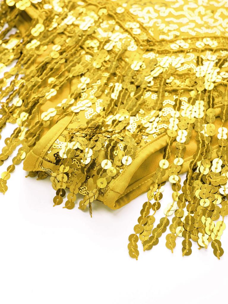 Kids Girls Latin Dance Dress Sleeveless Sparkly Sequins Tassel Fringe Dress Latin Jazz Salsa Tango Samba Rumba Dance Costume