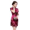 Women Chinese Dragon Phoenix Embroidery High Neck Short Sleeve Split Mini Dress