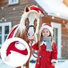 Christmas Horse Hat Reindeer Horn Headband Thick Red Velvet Santa Hat Deer Horn Hairband Xmas Horse Decoration Costume Accessories