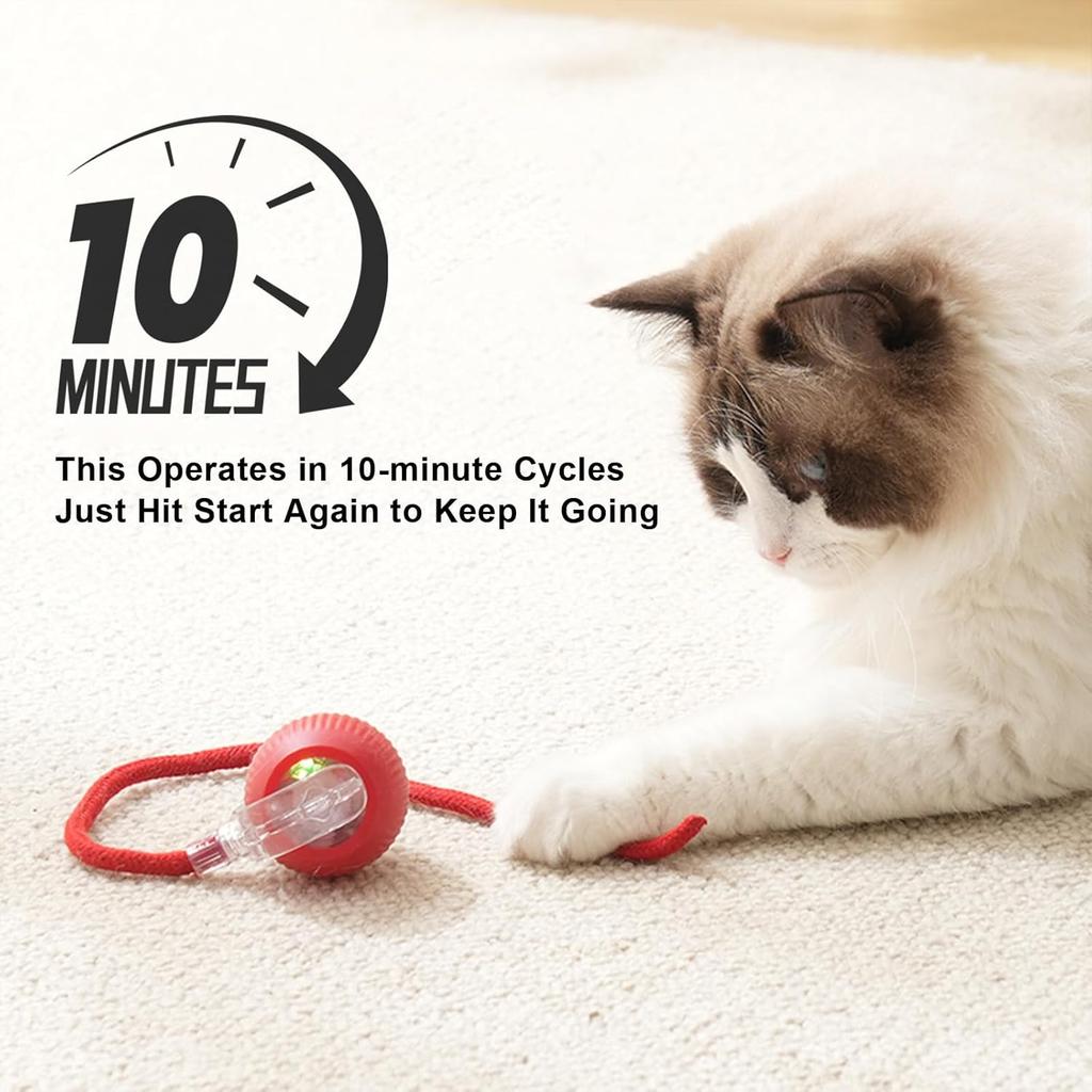 Умные игрушки для кошек Автоматический катящийся мячик Поддельный хвост Перезаряжаемая электрическая интерактивная игрушка для домашних животных Дрессировка собак и кошек Имитация хвоста мыши