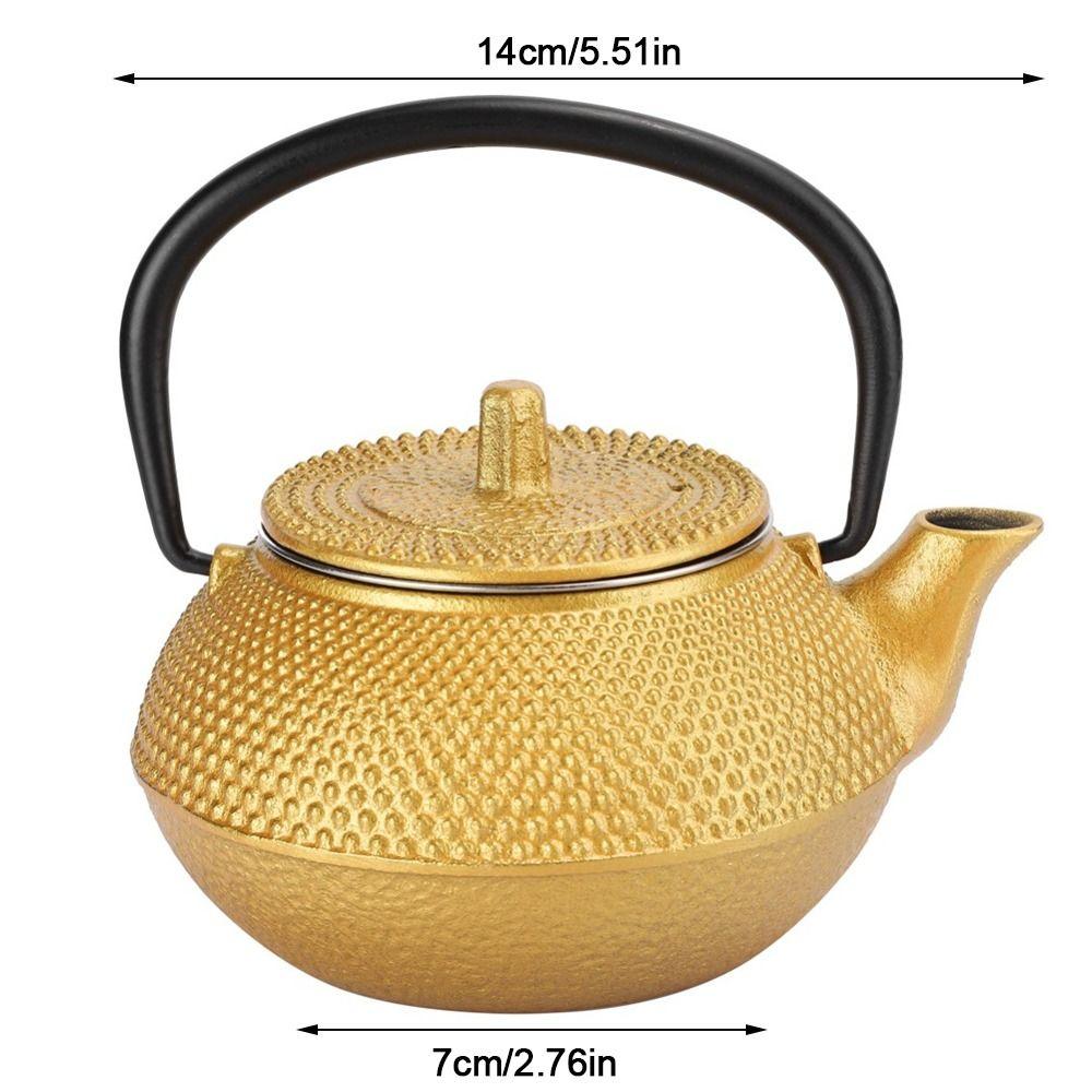 0.3L Cast Iron Teapot Stovetop Japanese Tetsubin Kettle Teapots Small Teapot Tea Brewing