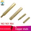 Медный стоевой шпилька M2/M3/M4: Одноходовой/Двухходовой Медный Столбик для Моделей для Научного Образования